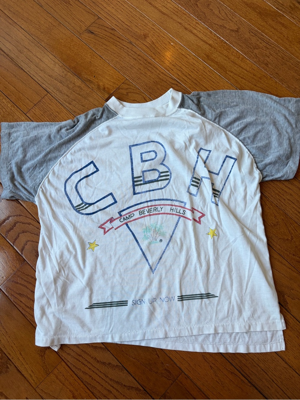 Vintage Camp Beverly Hills Raglan T-Shirt